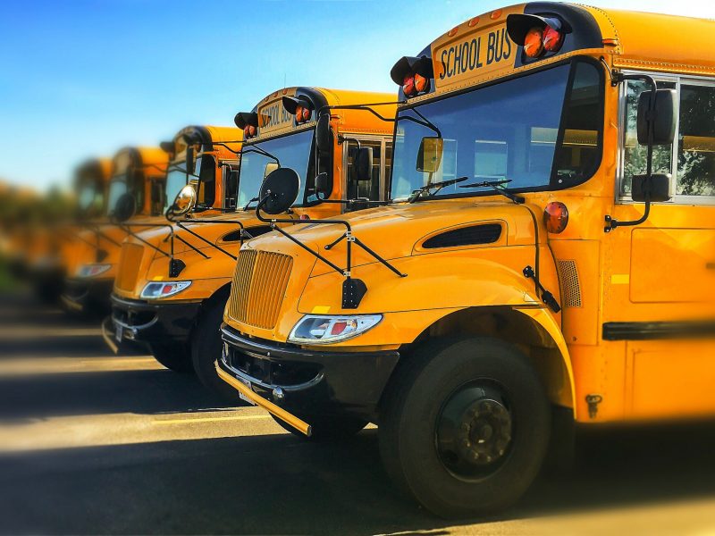 Low angle view of the front end of yellow public school buses parked in in a row seen from driver side