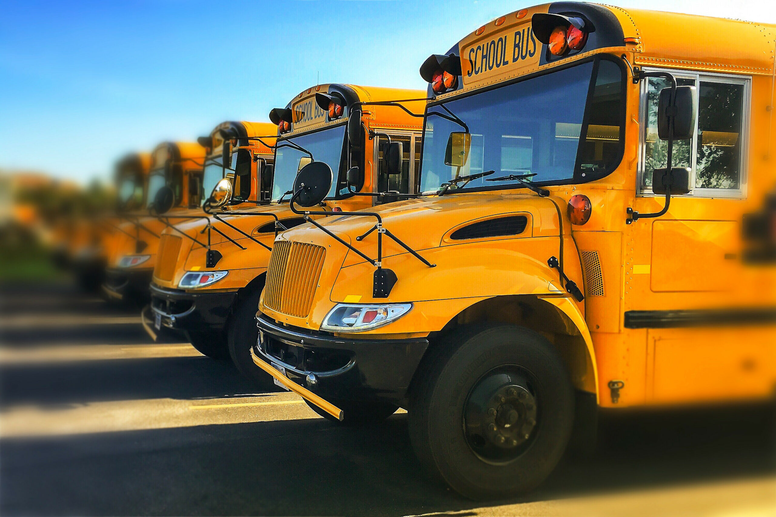 Low angle view of the front end of yellow public school buses parked in in a row seen from driver side